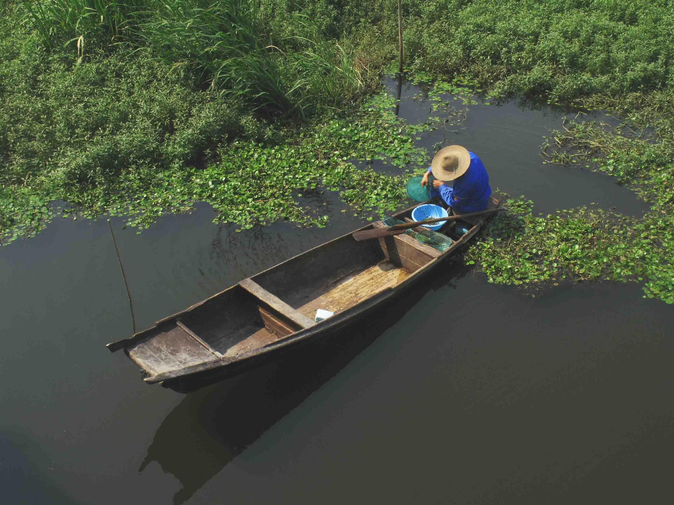 华泰众安瓜分退运险蛋糕 专家:真正赚钱不容易|ayx官网(图2) ayx官方网站