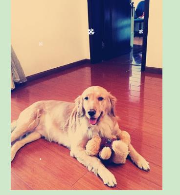 爱游戏(ayx)中国官方网站|河南农业大学机电工程学院:心系支农爱在援梦(图2) 爱游戏(ayx)中国官方网站