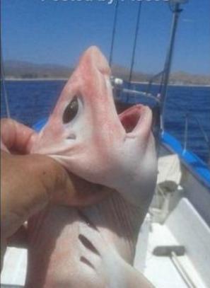 “新莞八条” 保险强市【ayx官网】(图3) 爱游戏(ayx)中国官方网站