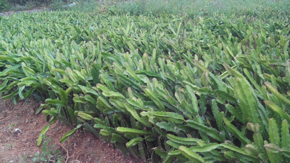 科学实验|一起探索未知领域的神奇~‘ayx官方网站’