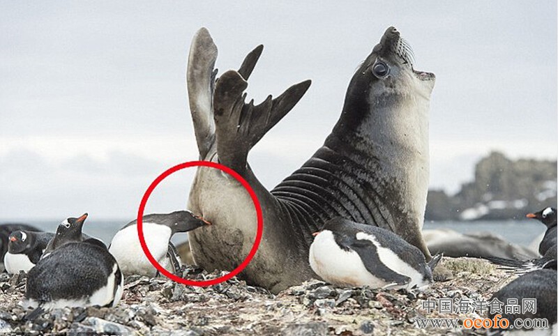 ayx官网-第二只保险私募基金花落“阳光”(图2) ayx官网