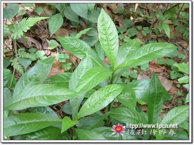 【最新】2015年黑龙江高考分数线公布-爱游戏（ayx）中国官方网站