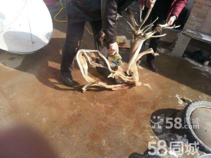 ayx官网-绿色金融保险发力 信息共享破环责险瓶颈(图1) ayx官方网站