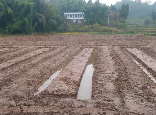 ‘爱游戏(ayx)中国官方网站’2020年漯河生育津贴新政策:怎么算、怎么领、领取条件(图2) ayx官网