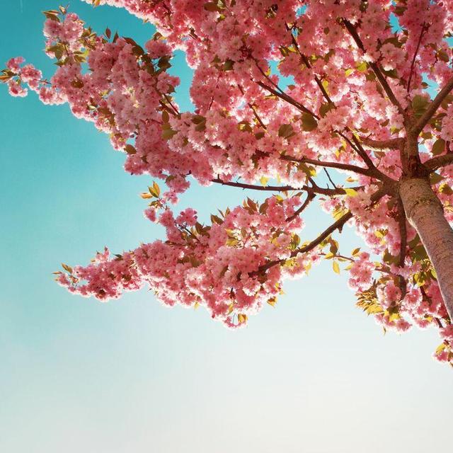 前10月险资运用余额增长13.66%-爱游戏(ayx)中国官方网站(图2) 爱游戏(ayx)中国官方网站