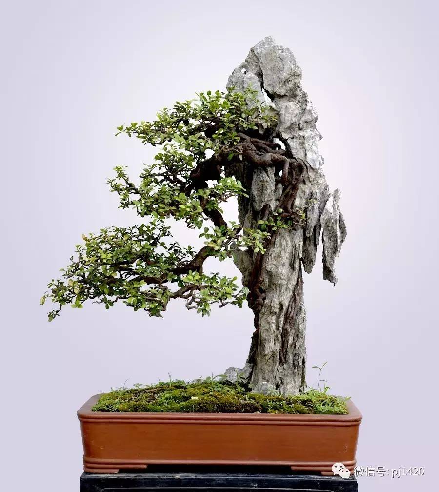 2019年巴彦淖尔盟工伤保险最新规定：赔偿范围、标准、流程【爱游戏（ayx）中国