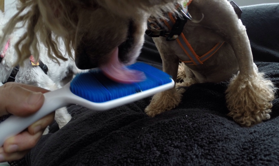 “爱游戏(ayx)中国官方网站”洛阳科技职业学院董继承老师:弘扬志愿精神携手共筑疫情防控“钢铁长城”(图1) ayx官方网站