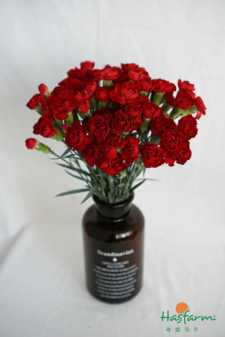 ayx官方网站:好消息!聊城又增加两家工伤医疗协议机构(图2) 爱游戏(ayx)中国官方网站