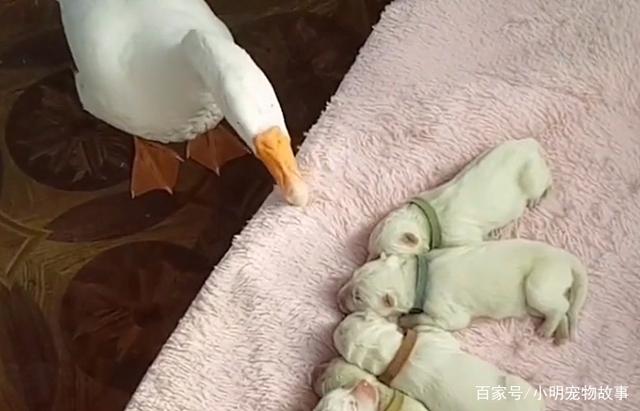 爱游戏（ayx）中国官方网站