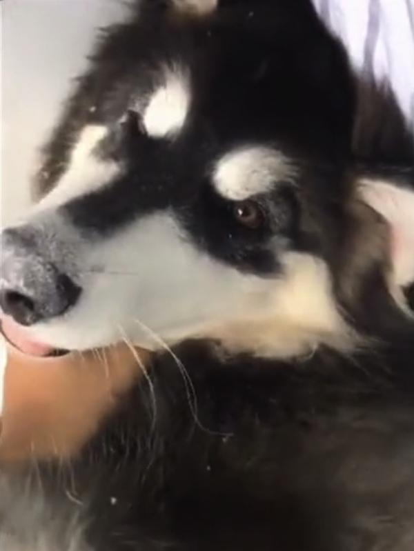 ayx官方网站|恒大8月销售额483亿 再创行业单月销售纪录