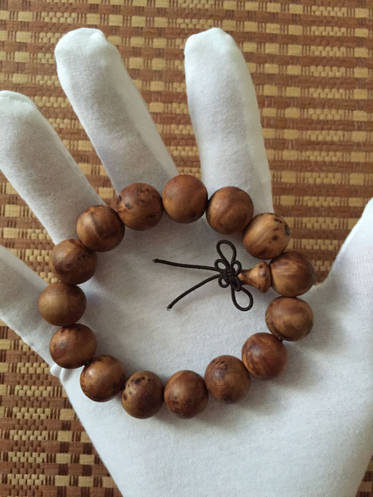 2019年招生通知|爱游戏（ayx）中国官方网站