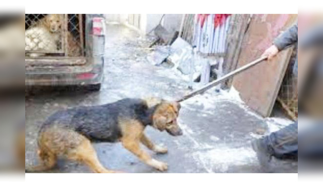 恒大公告确认:买入万科4.68%股份 耗资91.1亿_爱游戏(ayx)中国官方网站(图3) ayx官网