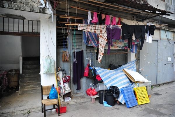 ayx官网-新乡医学院三全学院新增三个本科专业(图1) 爱游戏(ayx)中国官方网站