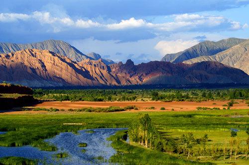 ayx官网:顺应自然重构生活——星光二幼小雪节气主题活动(图1) ayx官网