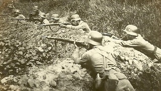 ayx官网:顺应自然重构生活——星光二幼小雪节气主题活动(图3) ayx官网