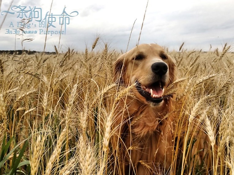 爱游戏（ayx）中国官方网站