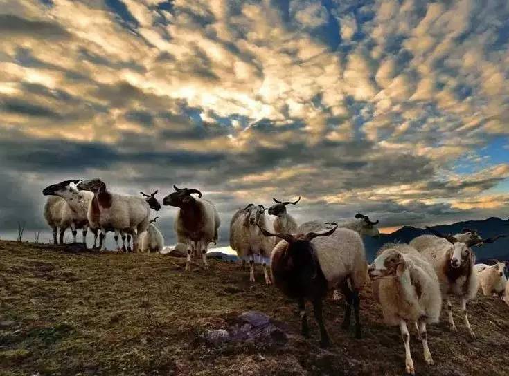 恒大御景湾首日选房1023余套 弃选率超88%“ayx官网”(图1) ayx官网