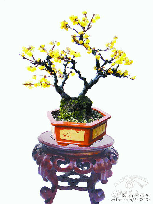 ‘爱游戏(ayx)中国官方网站’互联网+搅局物业 “首万计划”迎风起飞(图3) ayx官网