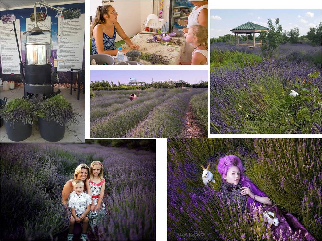 爱游戏（ayx）中国官方网站