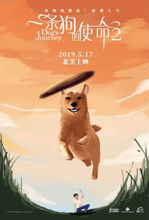 2020年淄博生育保险最新规定：报销条件、材料、流程、多少钱：ayx官方网站