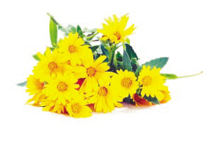 爱游戏（ayx）中国官方网站