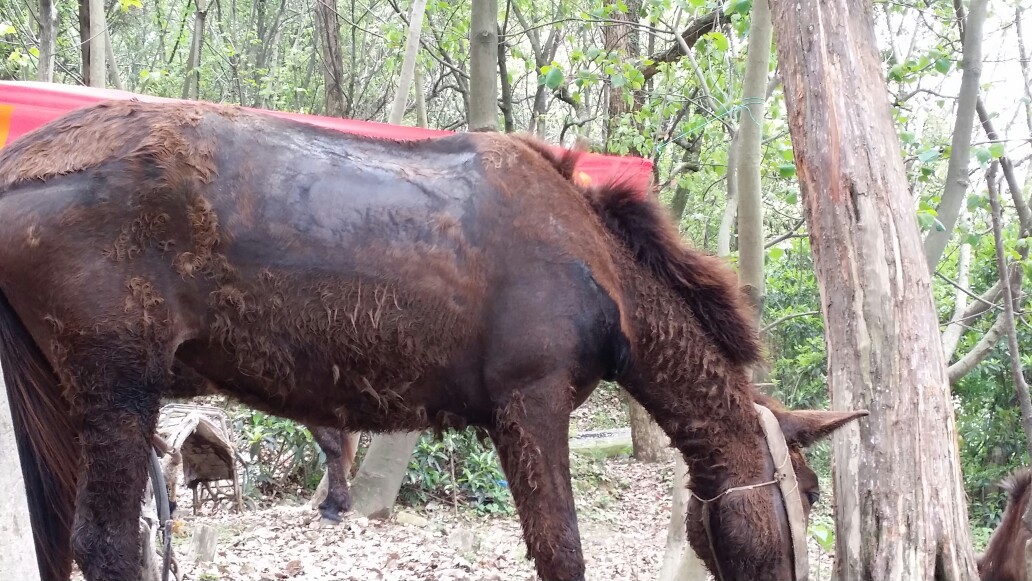 ayx官方网站:延迟开学温馨提示(图2) ayx官网