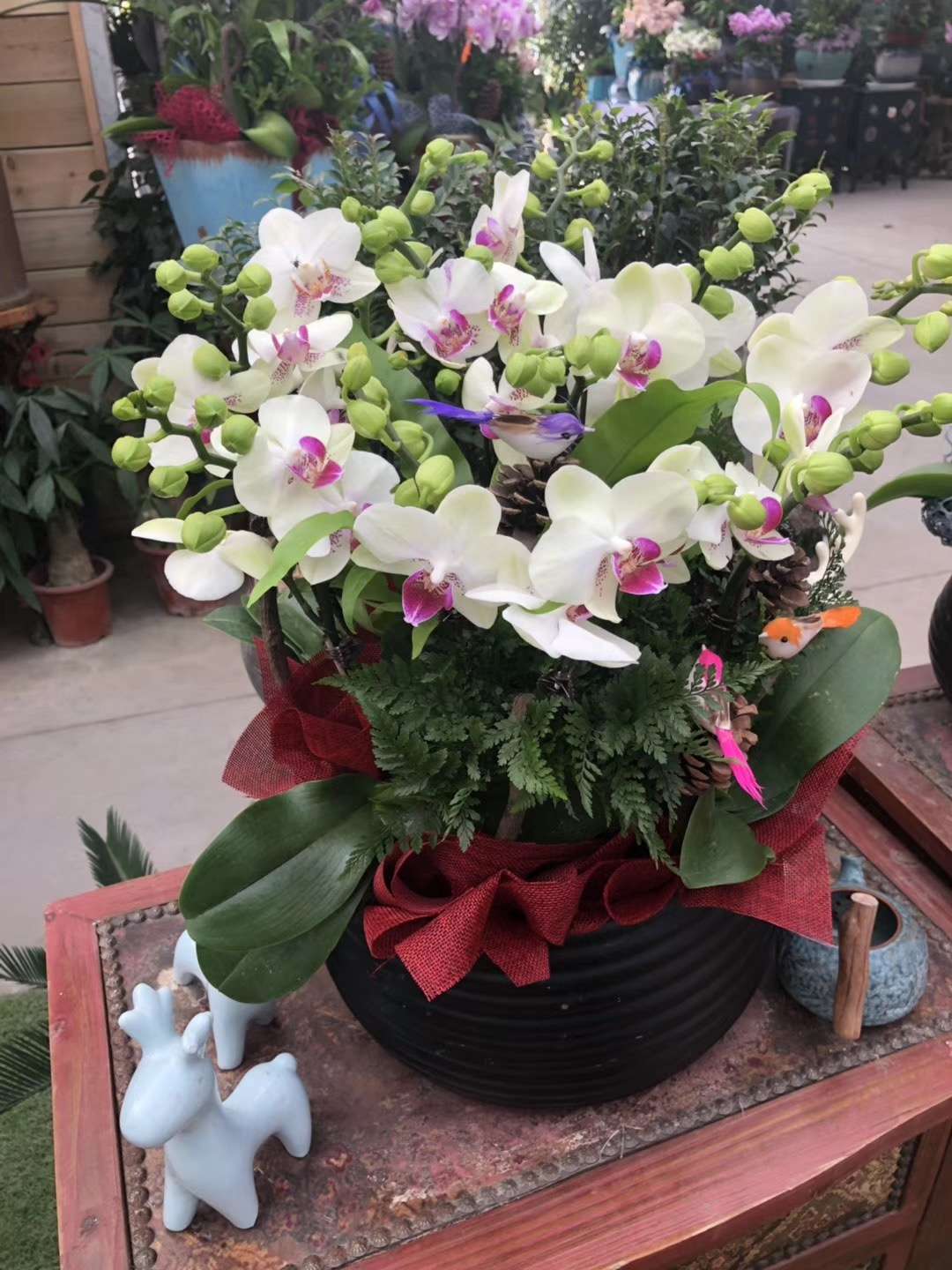 贾跃亭破产重组申请遭反对 或被迫转为破产清算【ayx官网】(图2) ayx官网