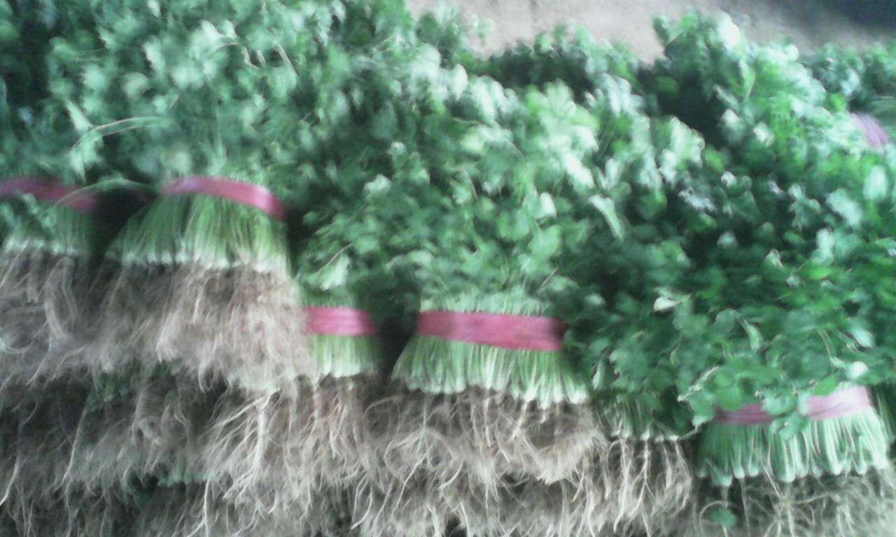 博鳌现场丨碧桂园服务李长江:简单、实用的智能化才是客户所需“ayx官方网站”(图1) ayx官网