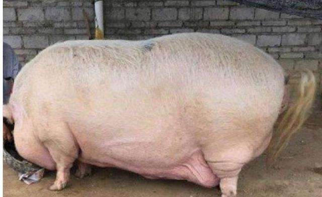 ‘爱游戏(ayx)中国官方网站’南山控股:6.6亿元竞得江苏南通一宗地块(图2) 爱游戏(ayx)中国官方网站