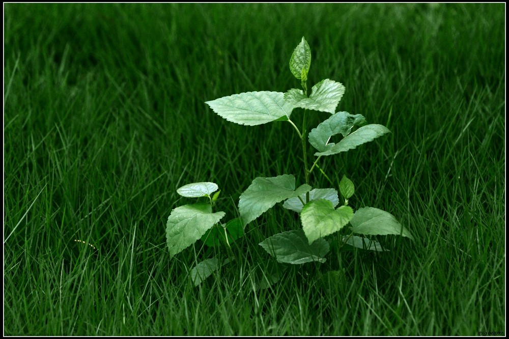 ayx官网-“19新城01”成交价下跌19%至81.13元(图1) 爱游戏(ayx)中国官方网站