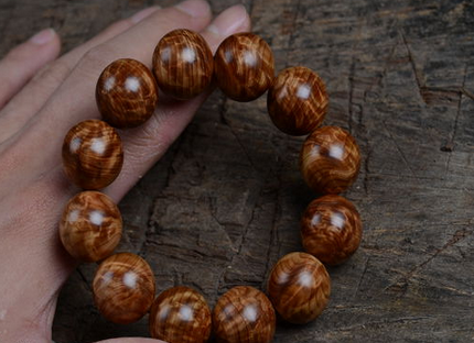 河南工信职业学院财经商贸系学生创业项目获“中国创翼”全国大赛“金翼奖”:爱游戏(ayx)中国官方网站(图1) ayx官方网站