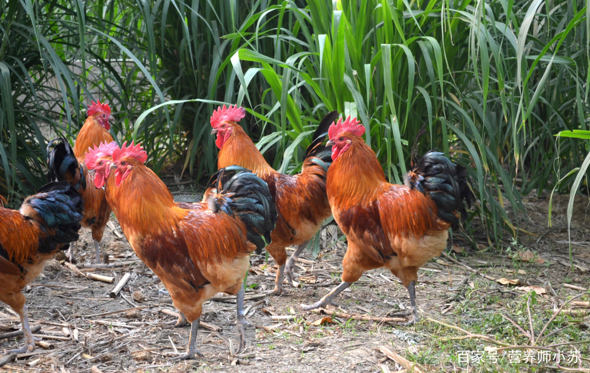 爱游戏（ayx）中国官方网站