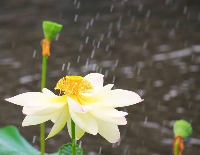 爱游戏（ayx）中国官方网站