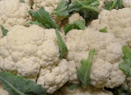 
买花菜 “散花”和“紧花”区别很大 教你怎样挑选 别再买错了【爱游戏（ayx）中国官方网站】(图2)