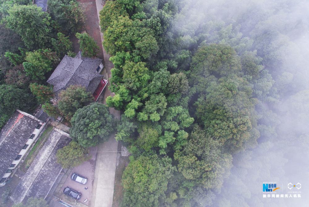 【ayx官网】官方!2019年辽阳养老金调整最新信息:最低标准提高至108元(图1) ayx官方网站