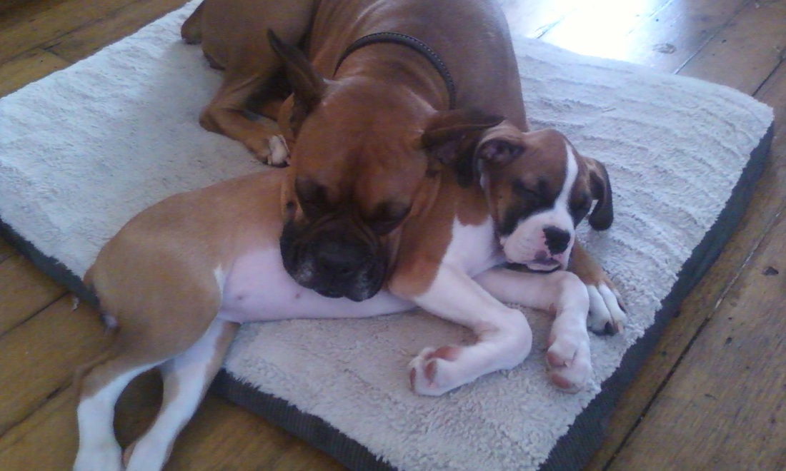 爱游戏（ayx）中国官方网站