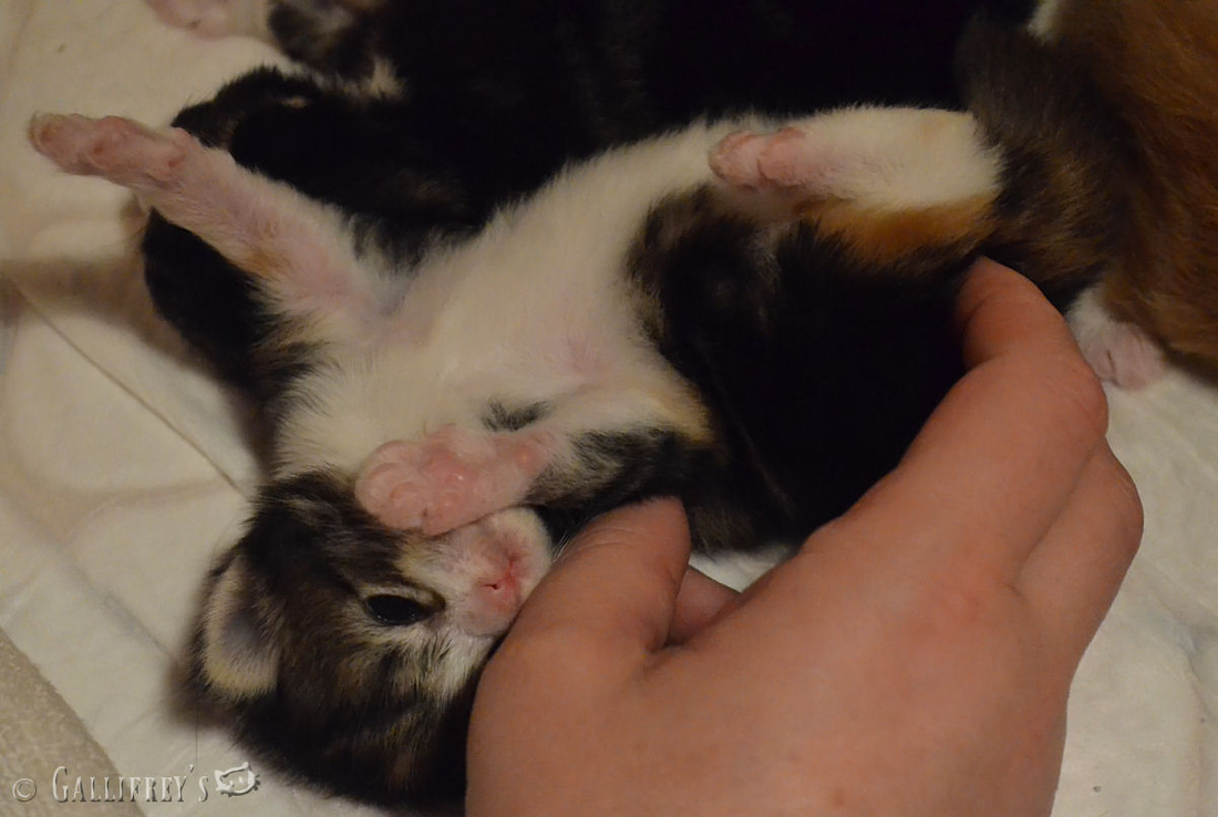 爱游戏（ayx）中国官方网站