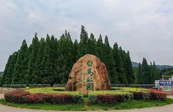 ayx官网