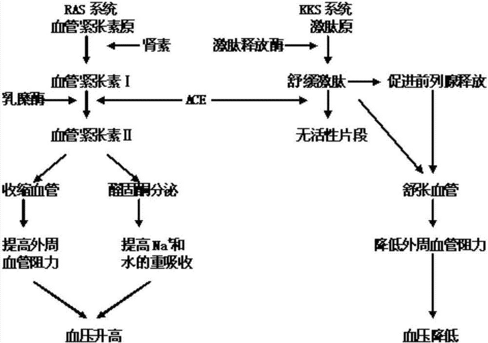爱游戏(ayx)中国官方网站_耗时逾三年 SOHO中国退出上海外滩地王争夺战(图2) ayx官网