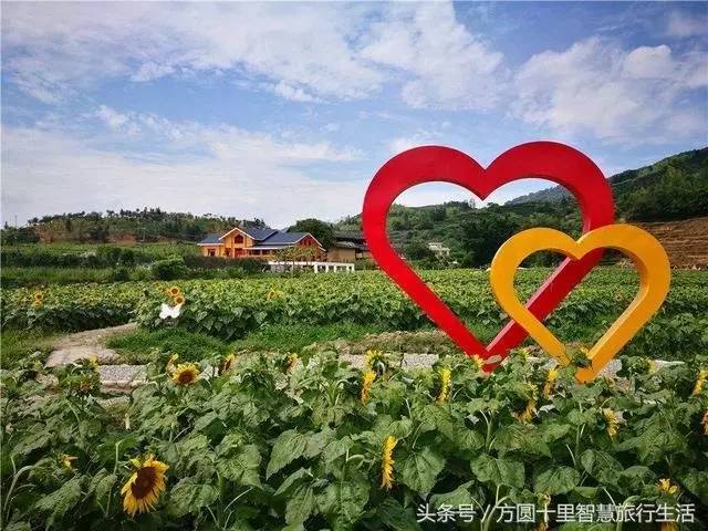 ayx官网-2017年山东高考成绩什么时候出来?(图1) ayx官网